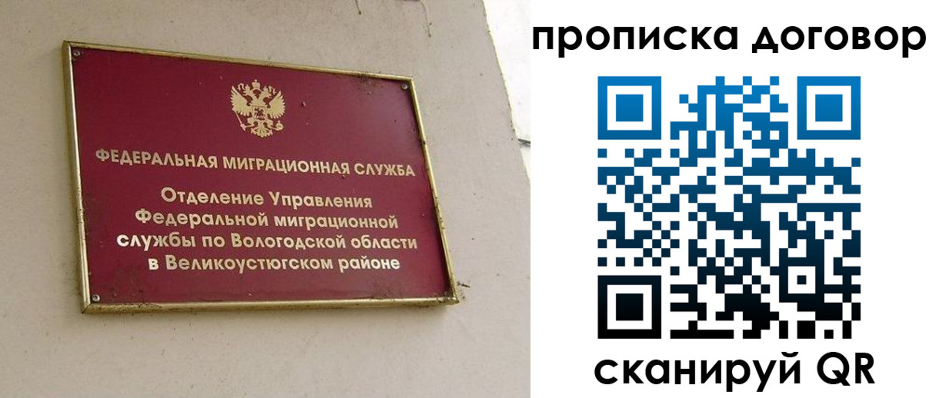 пропишу в квартире в Светлогорске