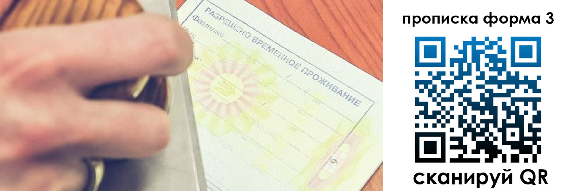 миграционный учет в Светлогорске